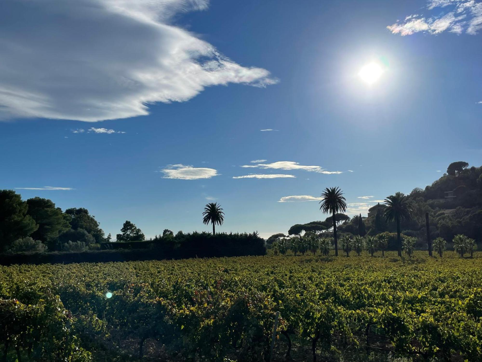 La Villa Cavalaire מראה חיצוני תמונה